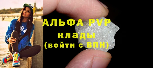 прущие грибы Нягань