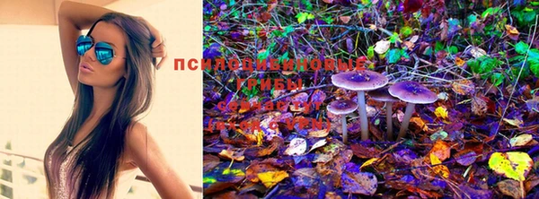 прущая мука Осташков